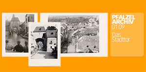 Pfalzelarchiv 01.09